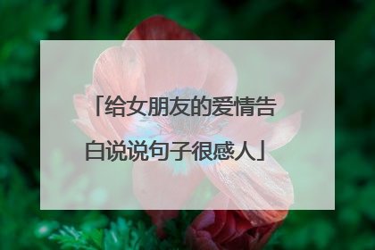 给女朋友的爱情告白说说句子很感人