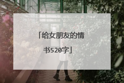 给女朋友的情书520字