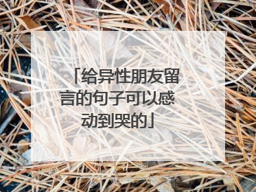 给异性朋友留言的句子可以感动到哭的