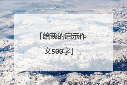 给我的启示作文500字