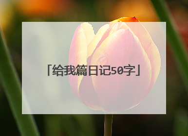 给我篇日记50字
