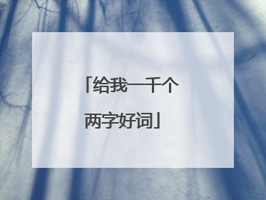 给我一千个两字好词