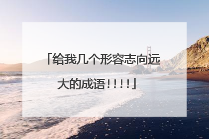 给我几个形容志向远大的成语!!!!