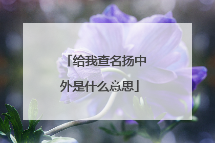 给我查名扬中外是什么意思