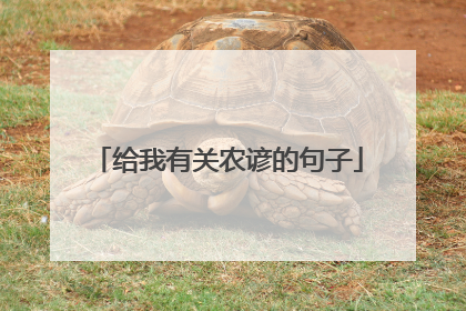 给我有关农谚的句子