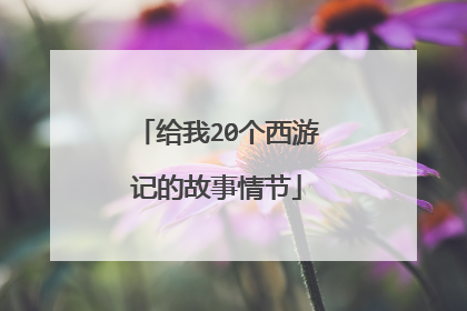 给我20个西游记的故事情节