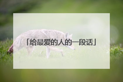 给最爱的人的一段话