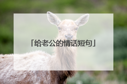 给老公的情话短句