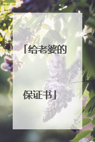 给老婆的保证书