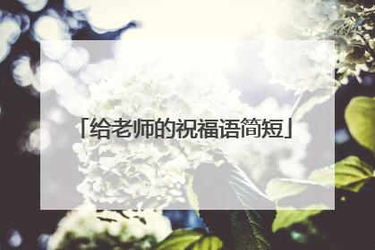 给老师的祝福语简短