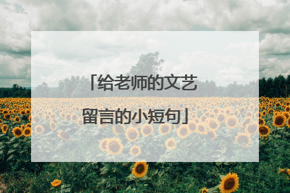 给老师的文艺留言的小短句