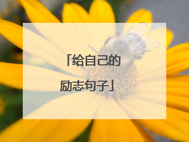给自己的励志句子