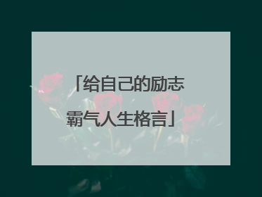 给自己的励志霸气人生格言