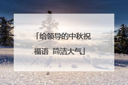 给领导的中秋祝福语 简洁大气