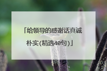 给领导的感谢话真诚朴实(精选40句)