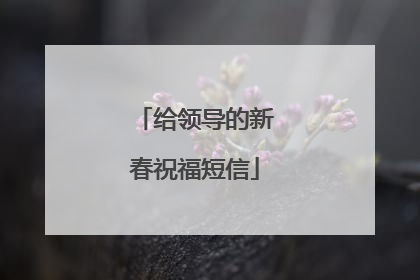 给领导的新春祝福短信
