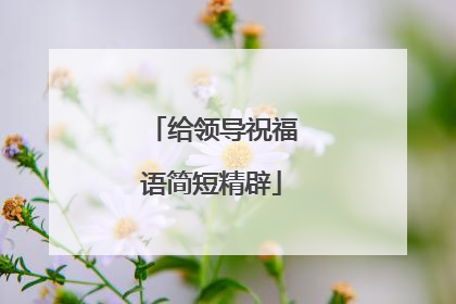 给领导祝福语简短精辟