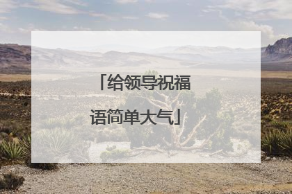 给领导祝福语简单大气