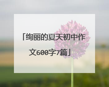 绚丽的夏天初中作文600字7篇