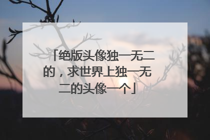 绝版头像独一无二的，求世界上独一无二的头像一个