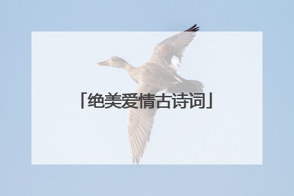 绝美爱情古诗词