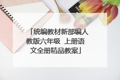统编教材新部编人教版六年级 上册语文全册精品教案