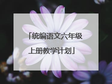 统编语文六年级上册教学计划