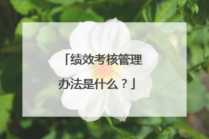 绩效考核管理办法是什么?