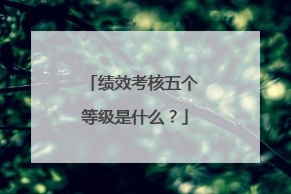 绩效考核五个等级是什么？