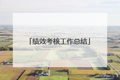 绩效考核工作总结