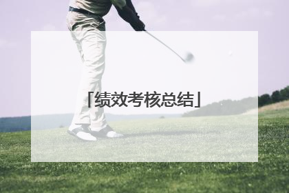 绩效考核总结