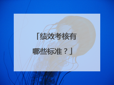 绩效考核有哪些标准？