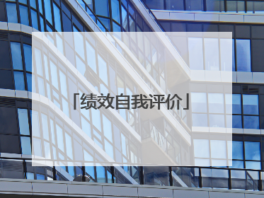 绩效自我评价