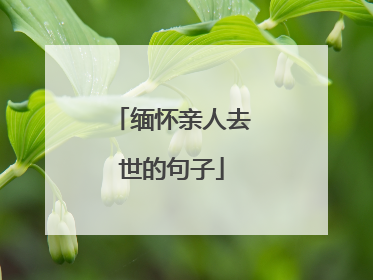 缅怀亲人去世的句子