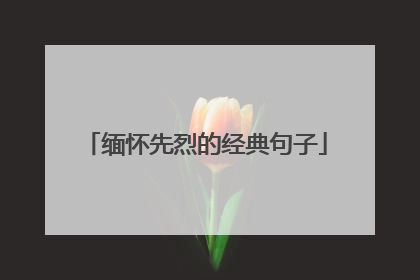 缅怀先烈的经典句子