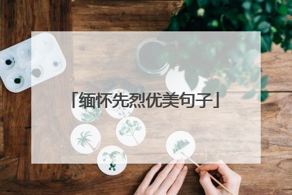 缅怀先烈优美句子