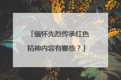 缅怀先烈传承红色精神内容有哪些？