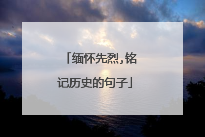 缅怀先烈,铭记历史的句子