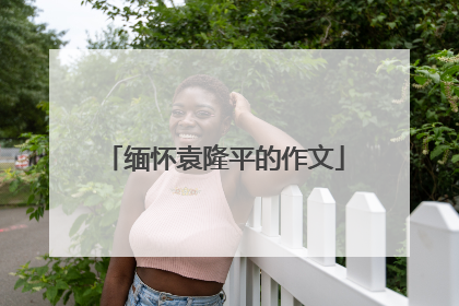 缅怀袁隆平的作文