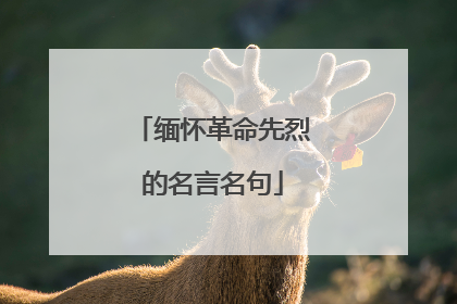 缅怀革命先烈的名言名句