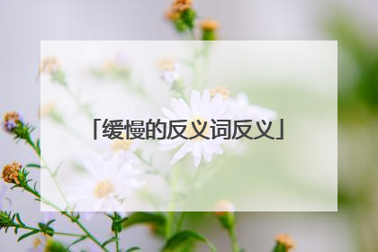 缓慢的反义词反义