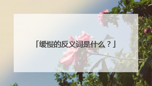 缓慢的反义词是什么？