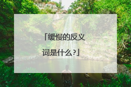 缓慢的反义词是什么?