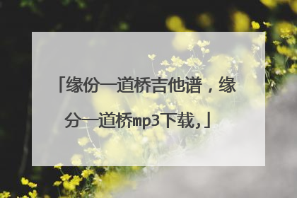 缘份一道桥吉他谱,缘分一道桥mp3下载,