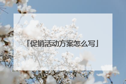 促销活动方案怎么写