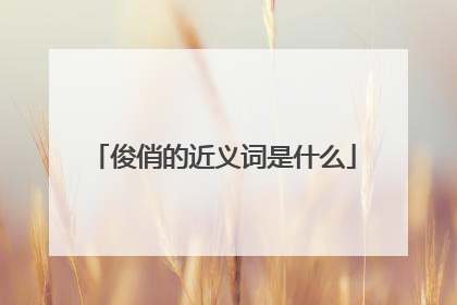 俊俏的近义词是什么