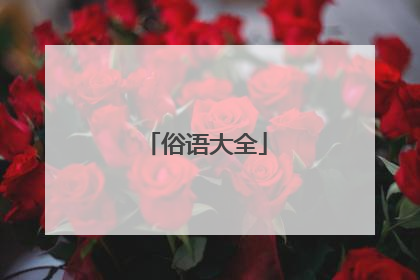 俗语大全