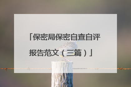 保密局保密自查自评报告范文(三篇)