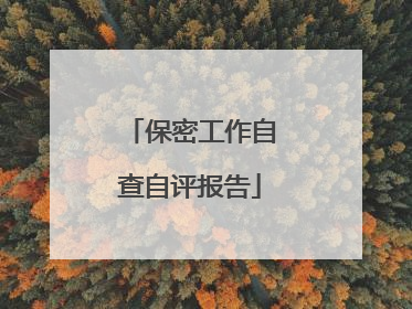 保密工作自查自评报告