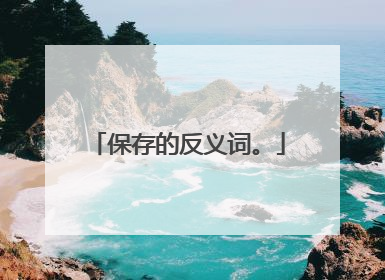 保存的反义词。